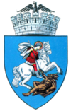 Stema orasului Craiova